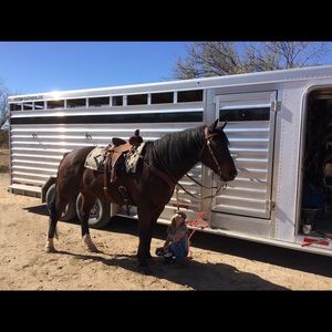 Meet your Posher, Willow